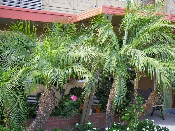 Fullerton Lodge image 25